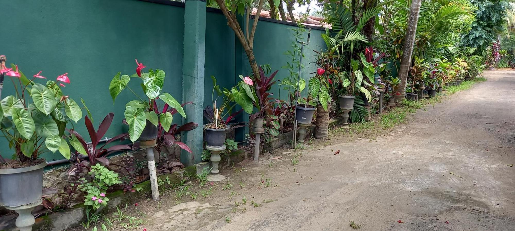 Nooit Gedacht Holiday Resort Unawatuna Exterior photo