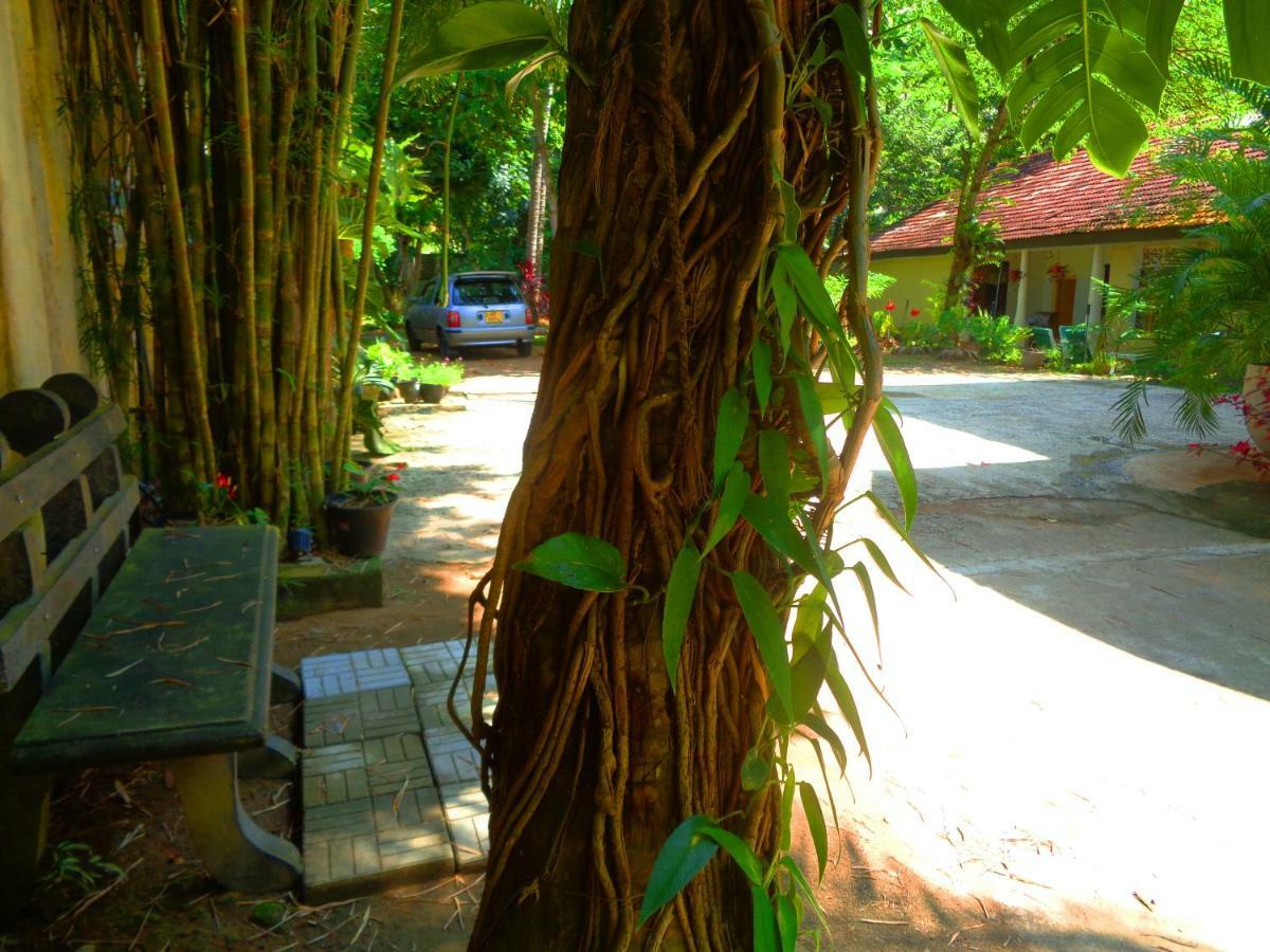 Nooit Gedacht Holiday Resort Unawatuna Exterior photo